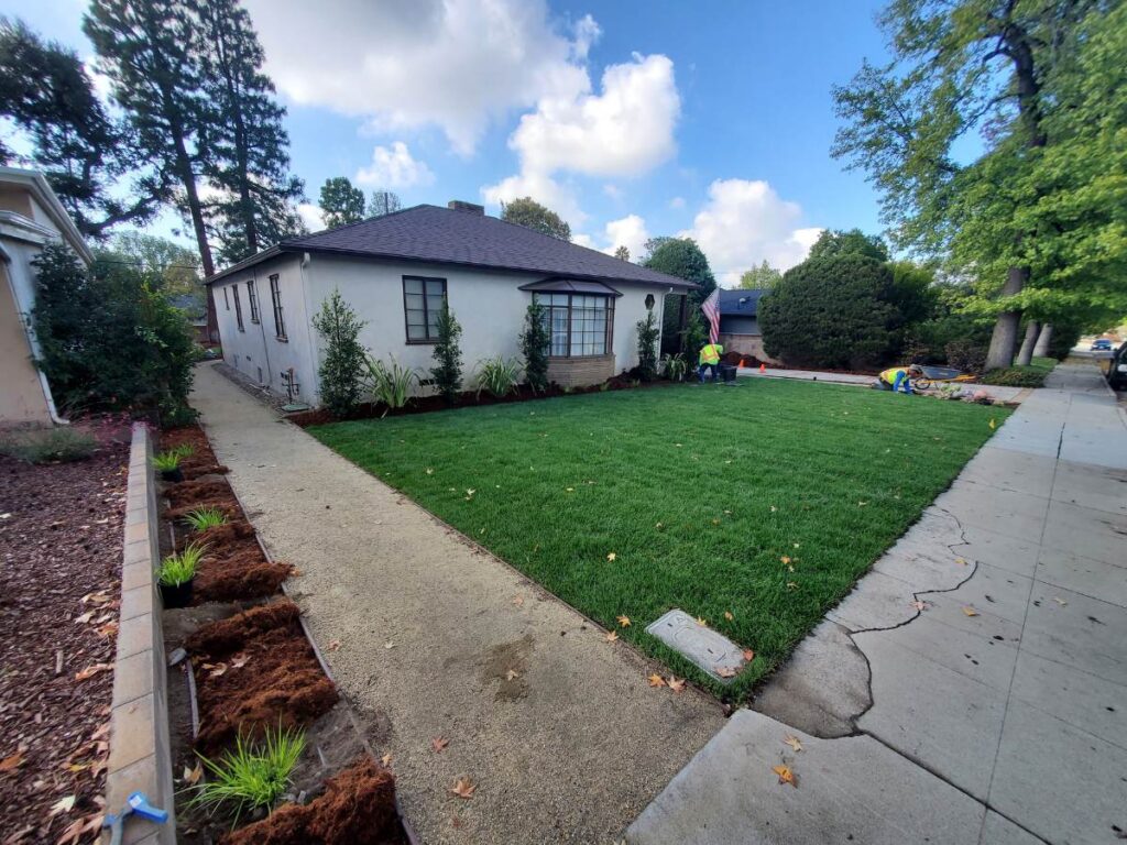 LandscapingHardscaping 17