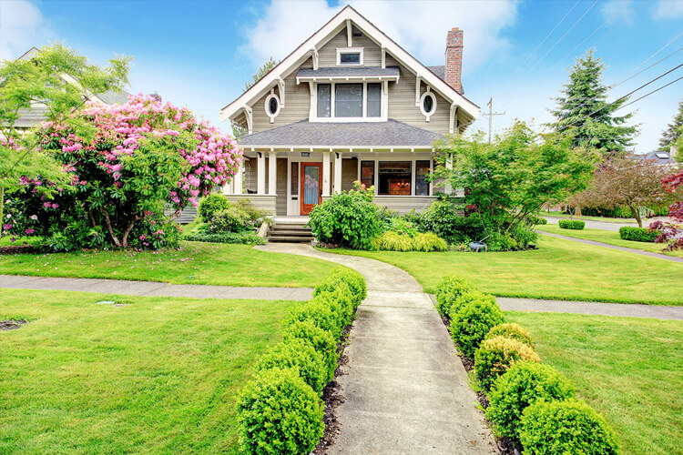 landscaping 3