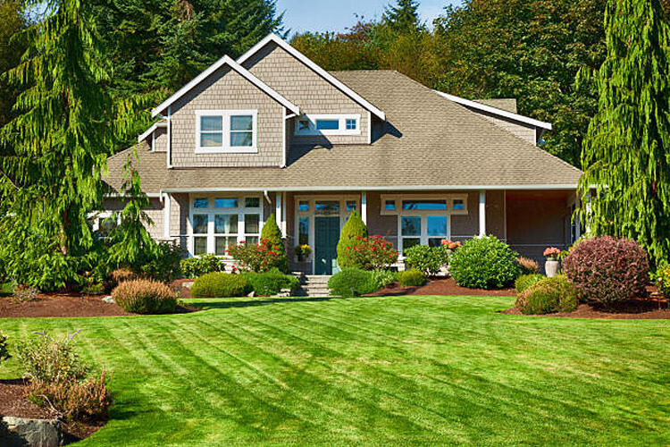 landscaping 4